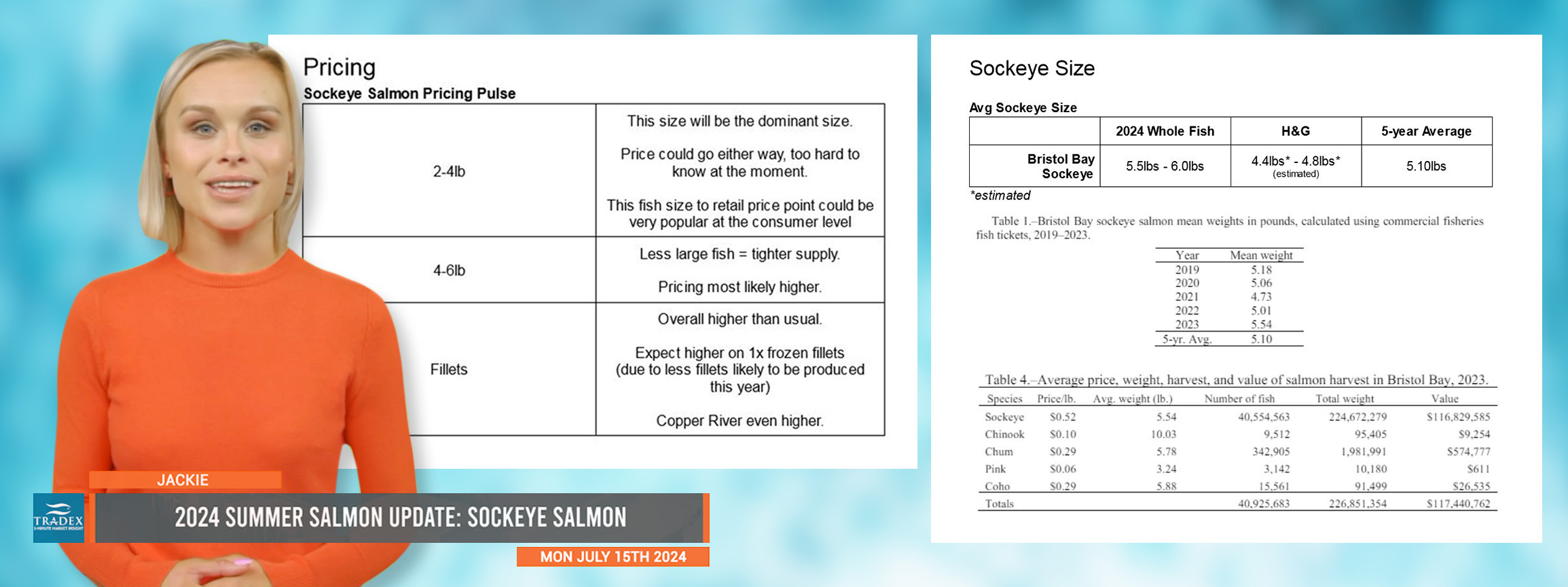 2024 Summer Salmon Update: SOCKEYE