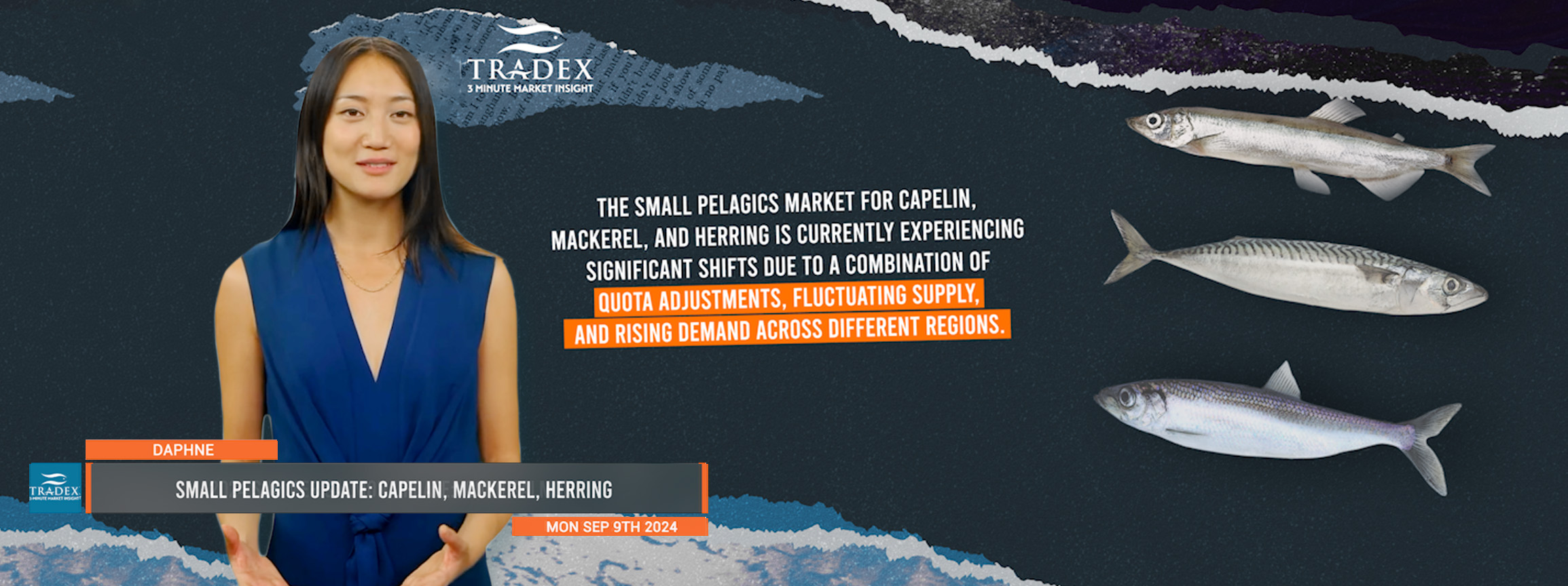 ESmall Pelagics Update: Capelin, Mackerel, Herring