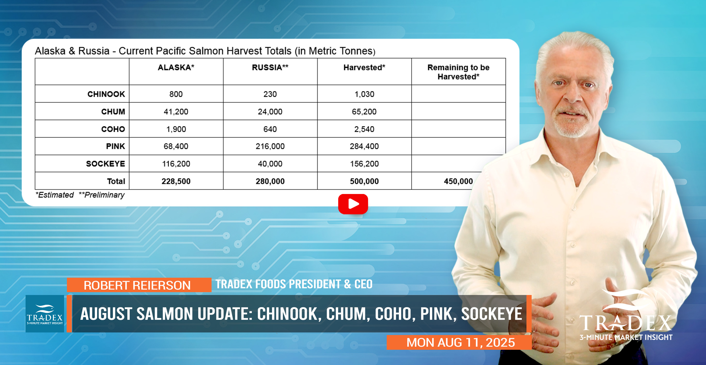 August Summer Salmon Update